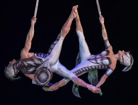 "Бабочки", дуэт акробатов на воздушных ремнях - один из номеров шоу OVO, поражающий техникой исполнения и необычными костюмами. Фото: сайт Cirque du Soleil