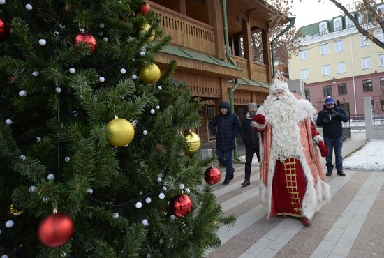 Цены на новогодние ёлки выше двух метров в Екатеринбурге стартуют от 4 тыс. рублей. Фото: Станислав Савин