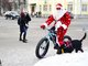 В Екатеринбурге Дед Мороз и пёс преодолели 12 километров. Фото: сайт проекта «Вело-город»