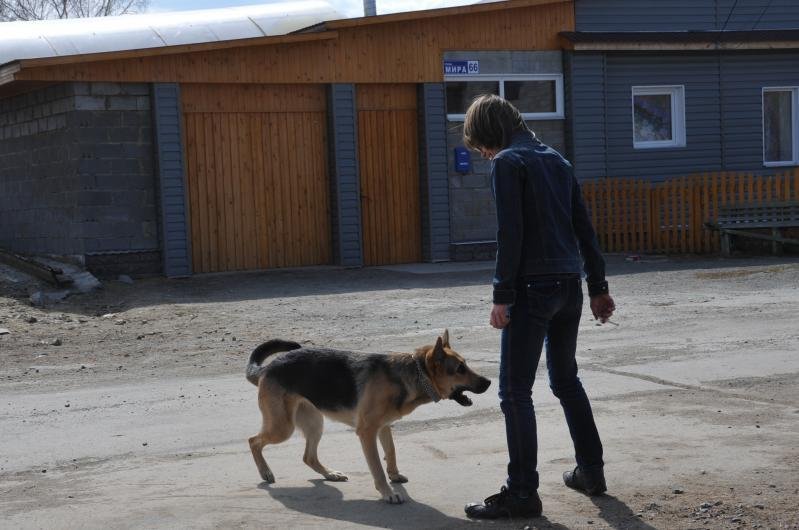 Подросток с собакой на улице