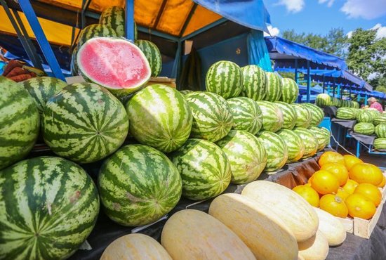 В Екатеринбург с начала сентября завезли 1027 тонн свежих овощей и фруктов. Фото: Владимир Мартьянов
