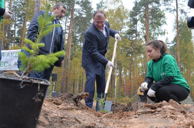 Алексей Орлов садит лес