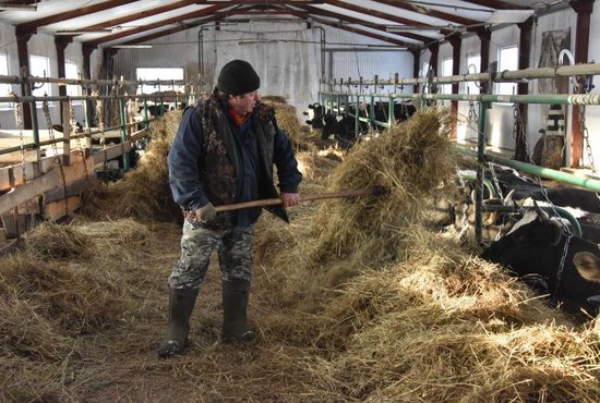 В 2018 году России на долю аграрных предпринимателей приходится около 13% сельхозпроизводства. Фото: Алексей Кунилов