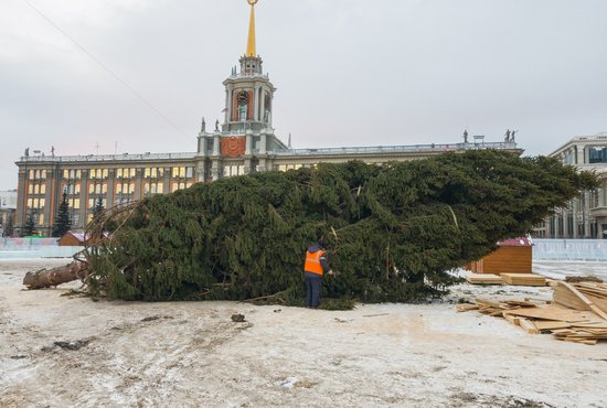 Украшать ёлку начнут в ближайшее время, чтобы успеть завершить все работы к открытию ледового городка. Фото: Владимир Мартьянов