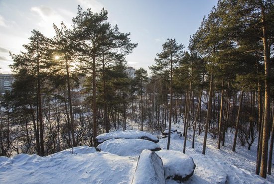 Экспертный совет будет анализировать опыт других парков и адаптировать его для благоустройства Шарташского лесопарка. Фото: Владимир Мартьянов