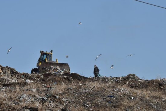 В Нижним Тагиле не будут строить межмуниципальный мусорный полигон. Фото: Алексей Кунилов