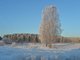 24 декабря на крайнем севере области столбики термометров могут опуститься ниже -40 градусов. Фото: Павел Ворожцов