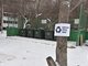 В городе действуют более 6 тыс. контейнерных площадок для сбора ТКО. Фото: Алексей Кунилов