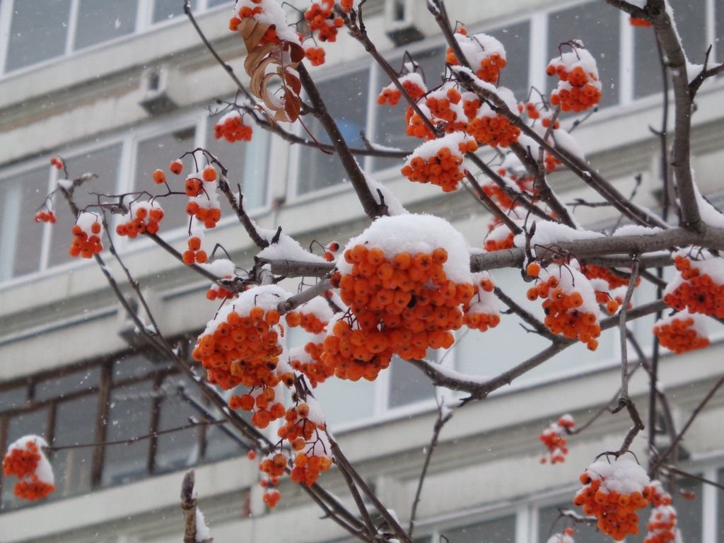 И о погоде: в начале недели на Среднем Урале ожидаются метели.