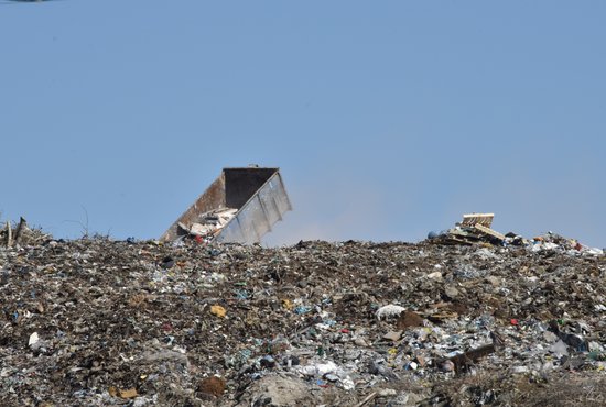 В Свердловской области ликвидировали 11 незаконных свалок мусора. Фото: Алексей Кунилов