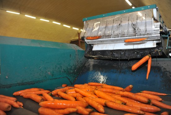 В Екатеринбург за февраль завезли 414 тонн овощей. Фото: Павел Ворожцов