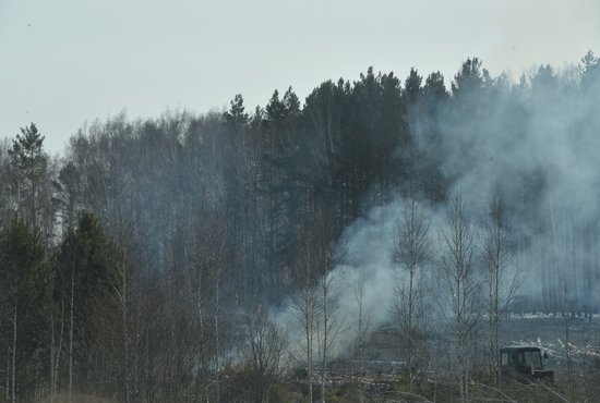 По состоянию на 17 апреля в регионе было зафиксировано уже шесть природных пожаров. Фото: Алексей Кунилов
