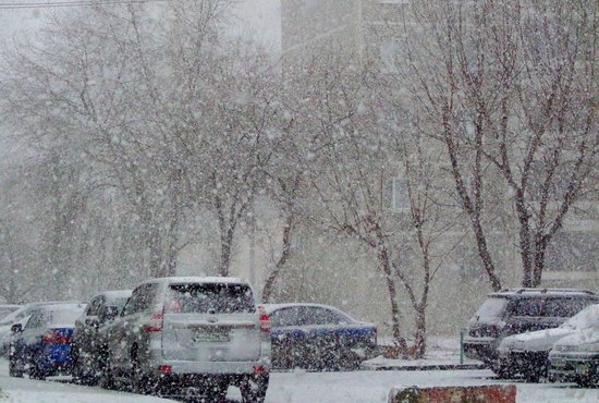 В ближайшее время на Урале ожидается сильный снег, метели и усиление ветра 25 метров в секунду. Фото: Алексей Кунилов